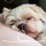 Pat Hocker - Facebook