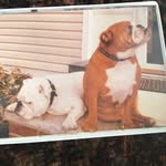 Patti Halliday Hogan - @pattihallidayhogan - Instagram