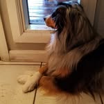 patti hogan - @hogan5810 - Instagram