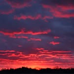 Patti Hogan Sargent - @patti424 - Instagram