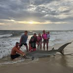 Patti Dunlap-Hokett - Facebook