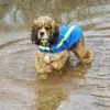 Patti Holder - @patti.holder4 - TikTok