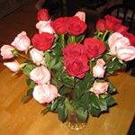 Patty Holman - @paholman58 - Instagram