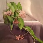 Patti Holmes - @preferredpatti - Instagram