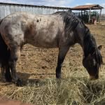 Patti Holt - @m.holt1 - Instagram