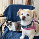 Patti Packard Hooper - @fm309home - Instagram