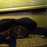 Patty Hooper - @paaty.hooper - Instagram
