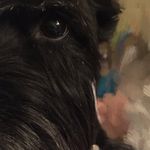 Patty Saigeon Horner - @schatzihorner - Instagram