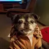 Patty Horner - @patty.horner - TikTok