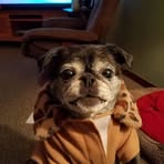 Patty Horner - Facebook