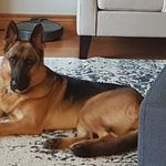 Patti Howe - @patti.howe.56 - Instagram