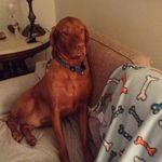 Patti Howell - @patti.howell1 - Instagram