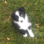 Patti Howell - @smidgeofmissmidge - Instagram