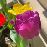 Patti Howell - @patti12345h - Instagram