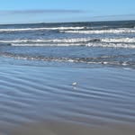 Patti Rinner Howell - @phowellpics - Instagram
