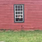 Patti Farrar Hunter - @farmsteadontheriver - Instagram