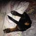 Patti Hunter - Facebook