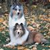 Patti Hunter - Facebook
