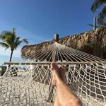 Patti Hurd Powers - @powers_patti - Instagram