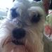 Patti Hyde - Facebook