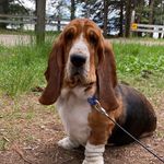 Patricia (Patty) Ruth Irwin - @keeping_up_with_patty - Instagram