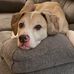 Patti Irwin - Facebook