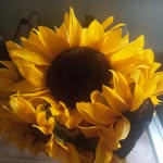 Patti Jackson - @trishalynn1960 - Instagram