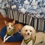 Patti Jacobs - @patti.jacobs.923 - Instagram