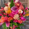 patti jacobs - @patti.jacobs2 - TikTok