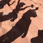 Patti Keller - @psk1959 - Instagram