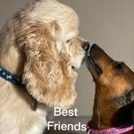 Patti Kinney - @pak58222023 - Instagram