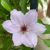 Patti Kinney - @pak5822 - TikTok