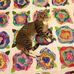 Patti Knowles - Facebook