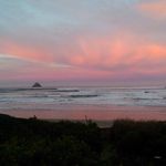 Patti Knowles - @patti.knowles.9 - Instagram