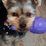 Patti Knowles - @patti.knowles.758 - Instagram