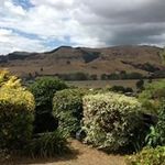 Patti Leach - @pattileach123 - Instagram