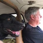 Patti Leach - @magicmemories_1 - Instagram