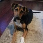 Patti Leach - Chamberlain - @pattiellis765 - Instagram