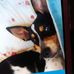 Patti Lester - Facebook