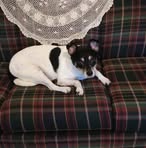 Patti Linder - Facebook