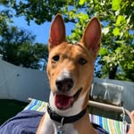 Patti Mack - @zen_beetle - Instagram