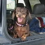 Patti Mack-Bray - @pk2mom - Instagram
