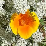 Patti McClellan - @pattimaria2008 - Instagram