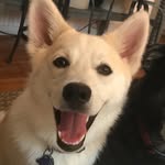 Patti Mcclelland - @patti.mcclelland - Instagram