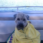 Patty McClellan - @pattybmcc - Instagram
