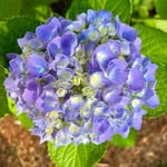 Patti Stanton McGrath - @pattimcgrath0816 - Instagram