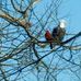Patti M Mclain - Facebook
