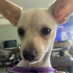 Patti McLain - @comfortgal1 - Instagram