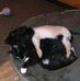 Patti Jo McLean - Facebook