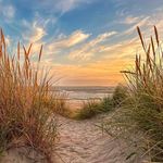 Patti Mclean - @pattiputkins1 - Instagram